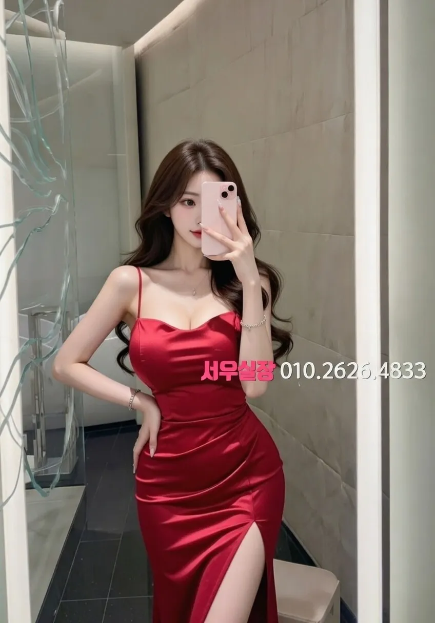 도곡동 텐프로 추천 및 검증된 최상급 프리미엄 업소 스크린샷